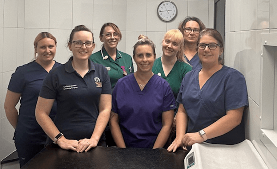 Nursing