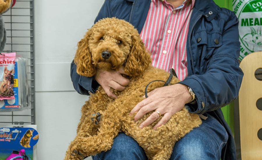 Pet Care Plans